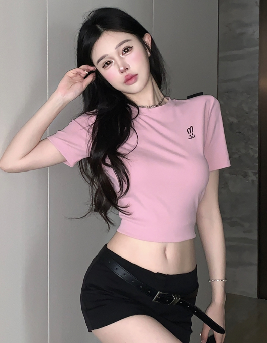 X394 เสื้อยืดแขนสั้นหญิงอารมณ์ฤดูร้อนปักเสื้อครอป