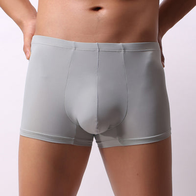 Transparent Boxer Pants For Young Men