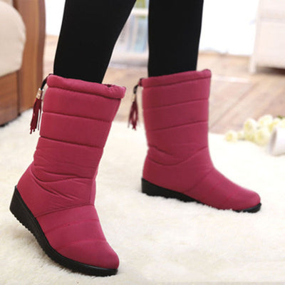 Warm women's boots with wedge