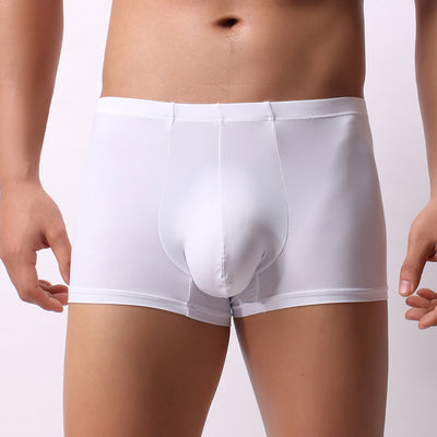 Transparent Boxer Pants For Young Men